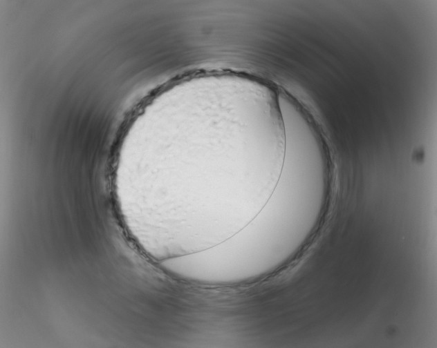 X0000115220876200911251529