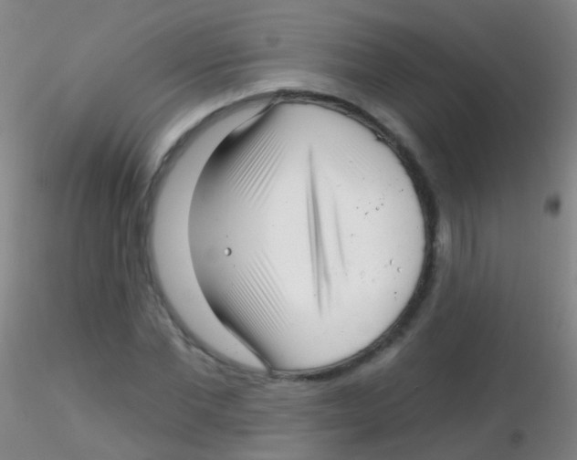 X0000115220877200911251529