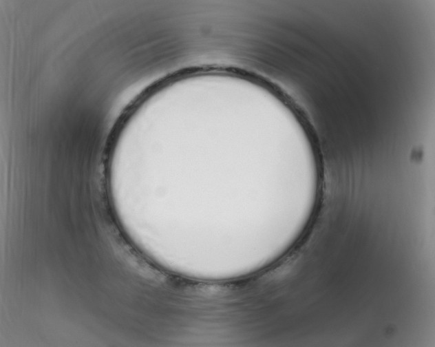 X0000115220879200911251529