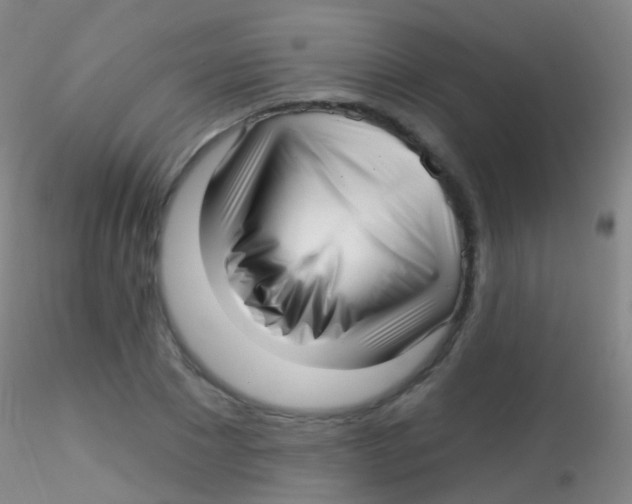 X0000115220881200911251529