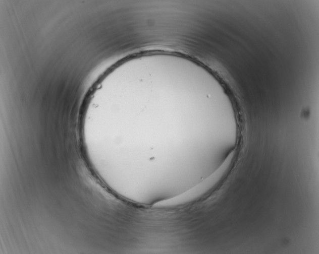 X0000115220884200911251529