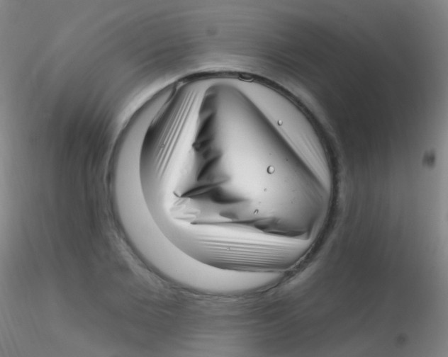 X0000115220885200911251529