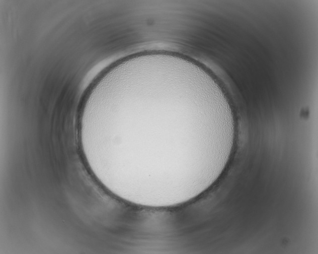 X0000115220886200911251529