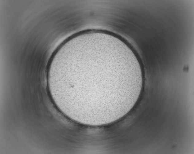 X0000115220887200911251529