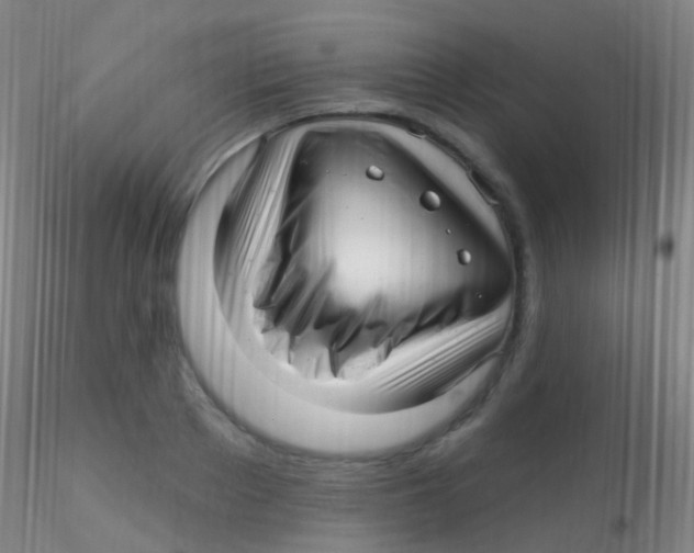 X0000115220889200911251529