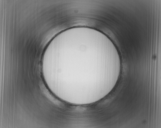X0000115220890200911251529