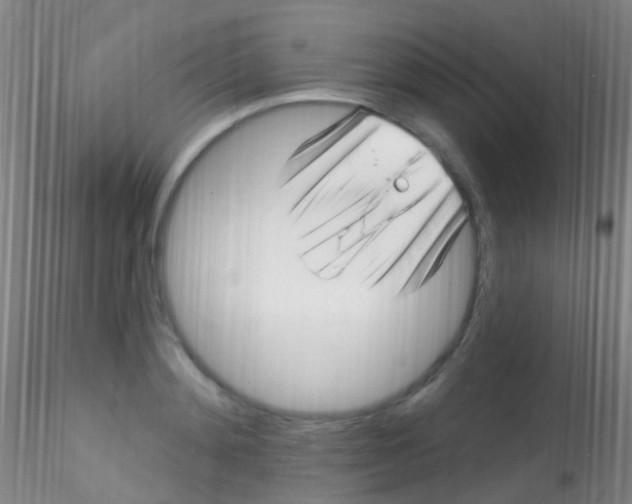 X0000115220892200911251528