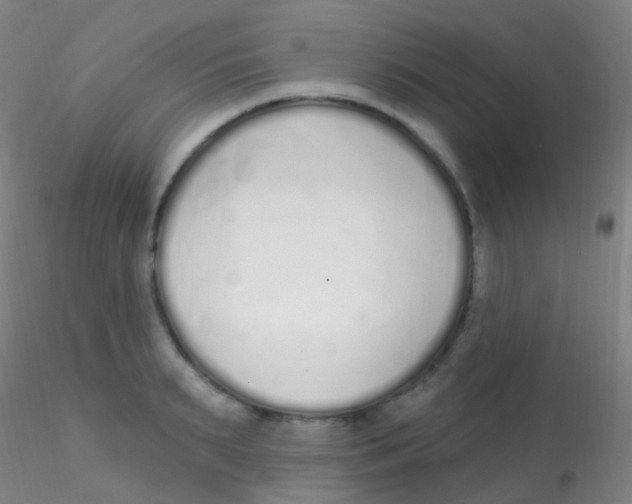 X0000115220895200911251528