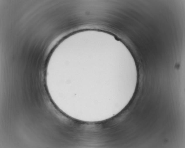 X0000115220896200911251528