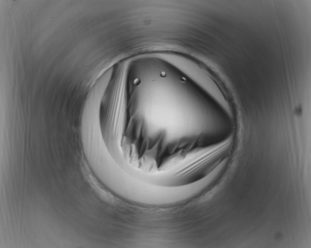 X0000115220897200911251528