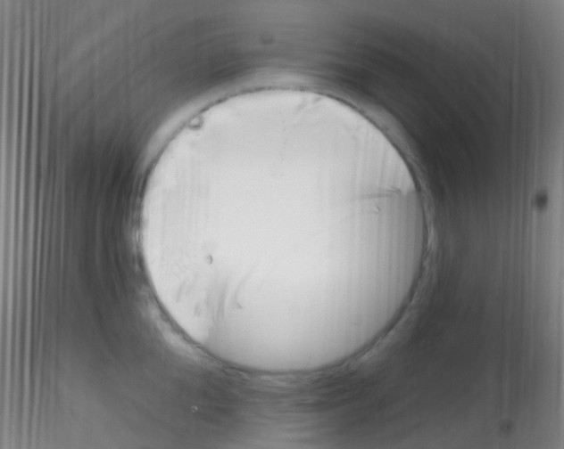 X0000115220904200911251528
