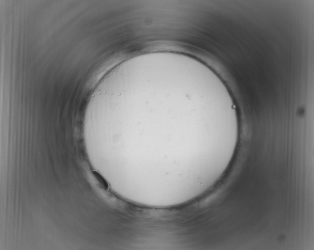 X0000115220905200911251528