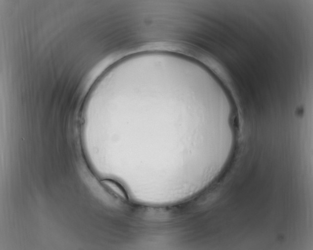 X0000115220907200911251528