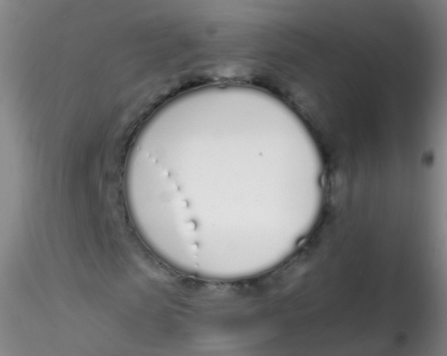X0000115220913200911251528