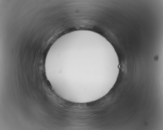 X0000115220915200911251528