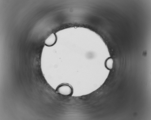 X0000115220918200911251528
