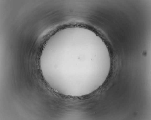 X0000115220919200911251528