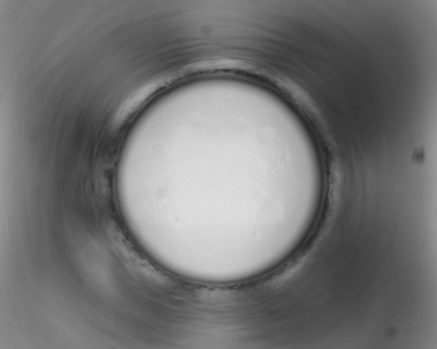 X0000115220921200911251528