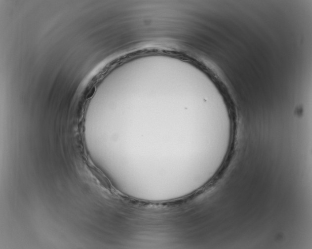 X0000115220923200911251528