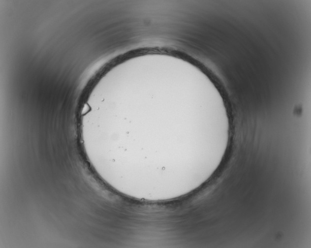 X0000115220927200911251528