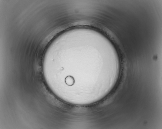 X0000115220929200911251528