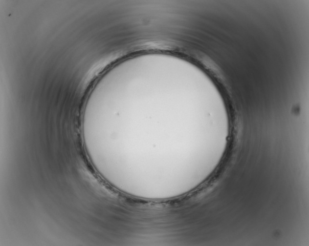 X0000115220930200911251528