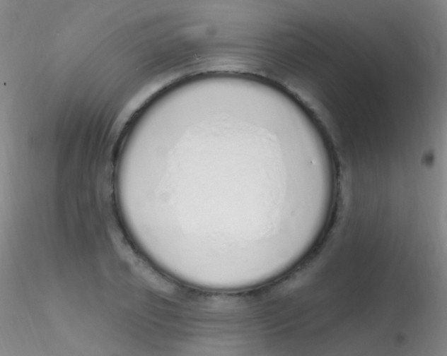 X0000115220933200911251528