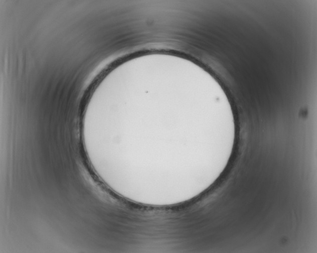 X0000115220934200911251528