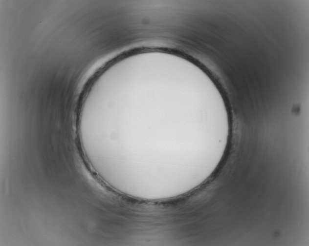 X0000115220935200911251528