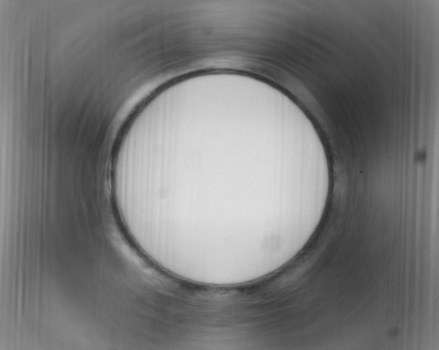 X0000115220939200911251528