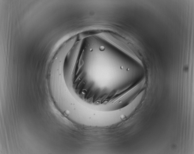 X0000115220950200911251528