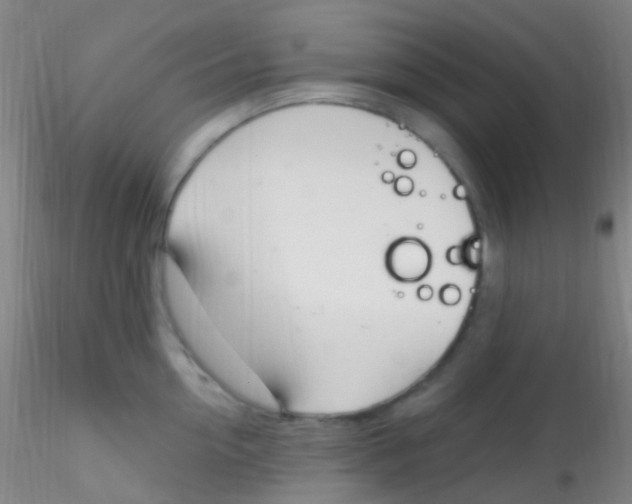 X0000115220954200911251528