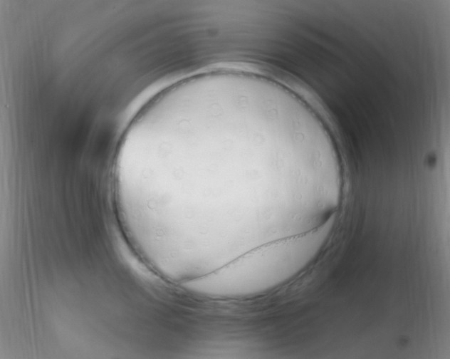 X0000115220955200911251528