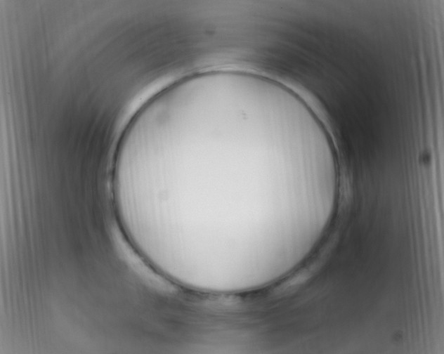 X0000115220957200911251528