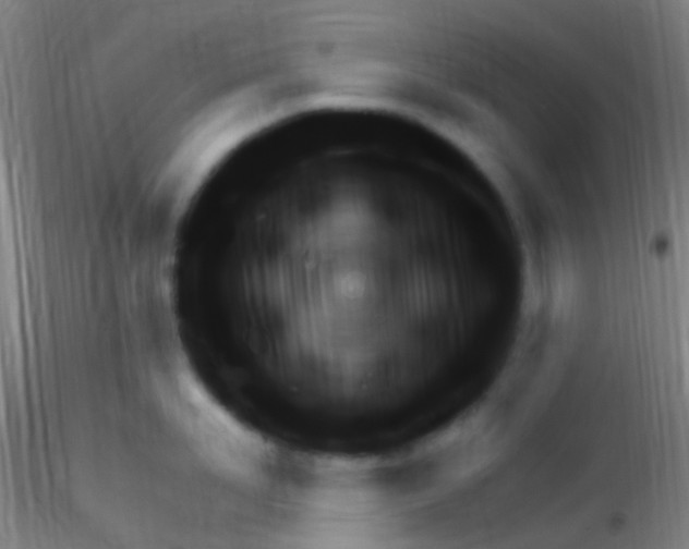 X0000115220958200911251528