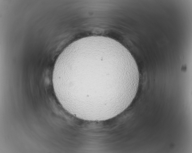 X0000115220962200911251528