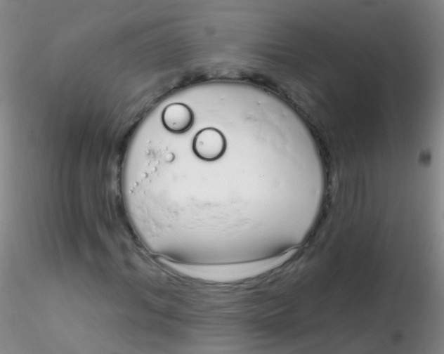 X0000115220964200911251527