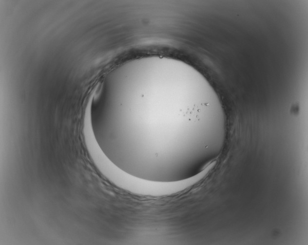 X0000115220965200911251527