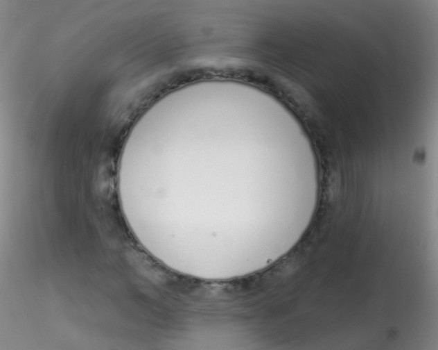 X0000115220966200911251527