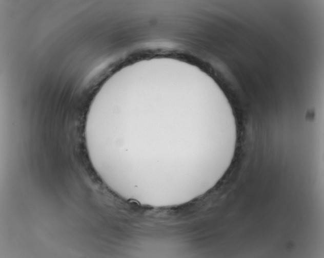 X0000115220967200911251527