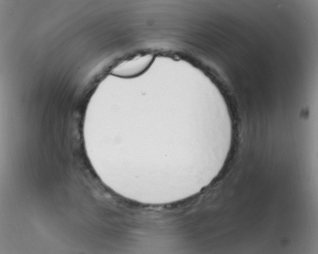 X0000115220968200911251527