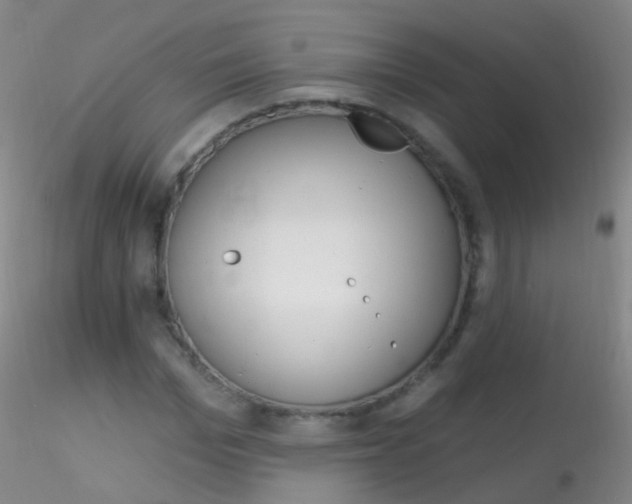 X0000115220969200911251527