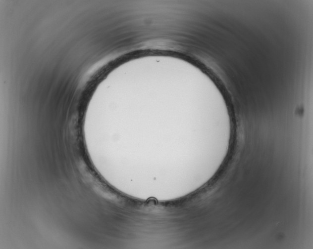 X0000115220971200911251527
