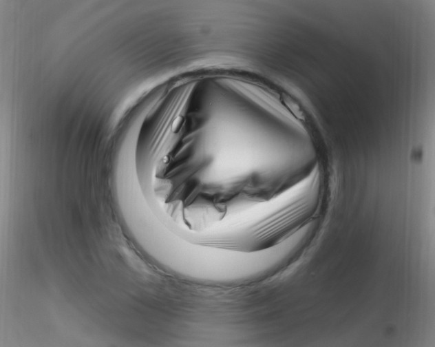 X0000115220973200911251527