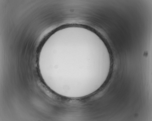 X0000115220974200911251527