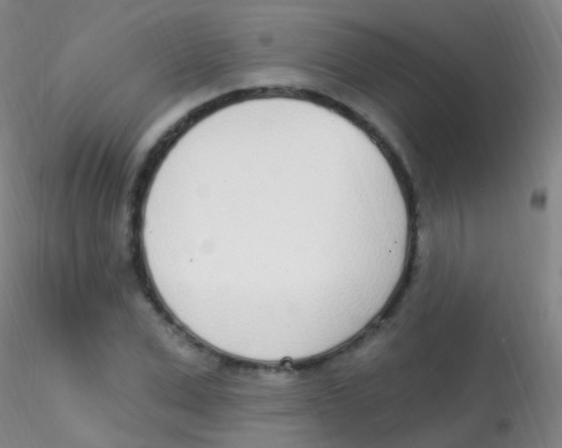 X0000115220975200911251527