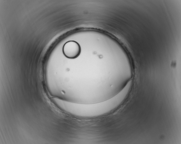 X0000115220976200911251527