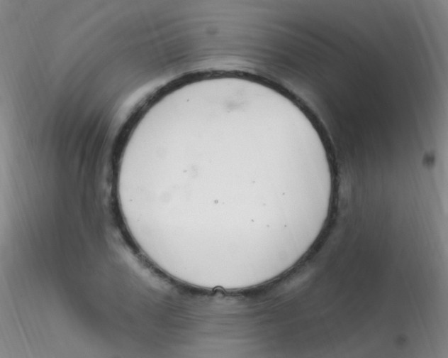 X0000115220979200911251527
