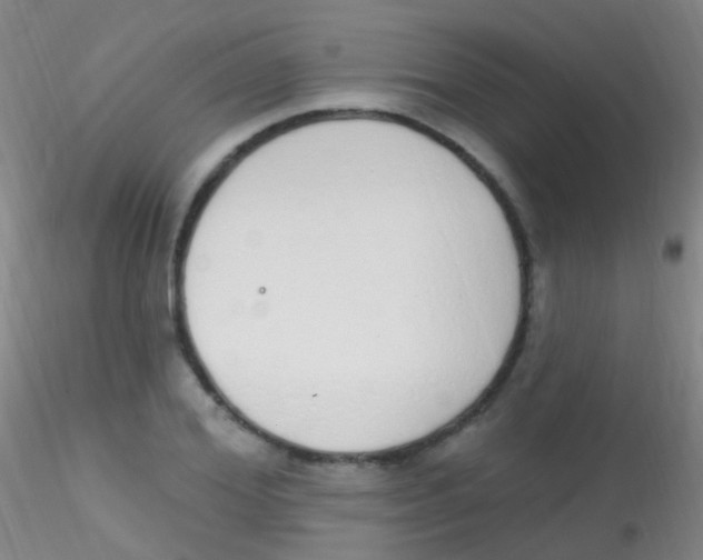 X0000115220980200911251527