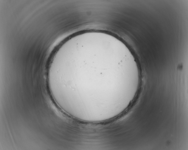X0000115220981200911251527